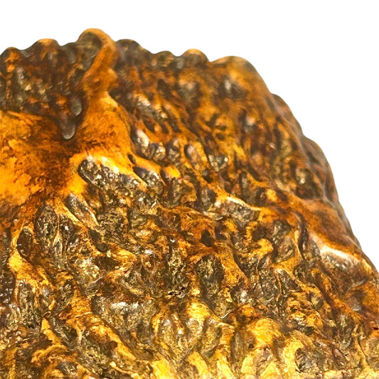 Early 1900s money box made from a tree trunk